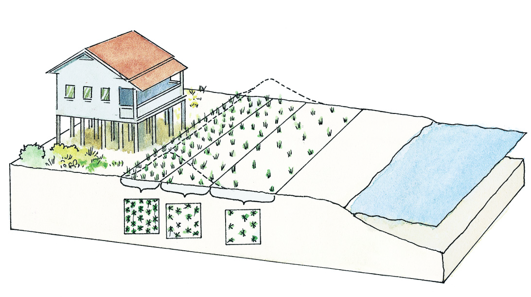 planting vegitation to reduce erosion