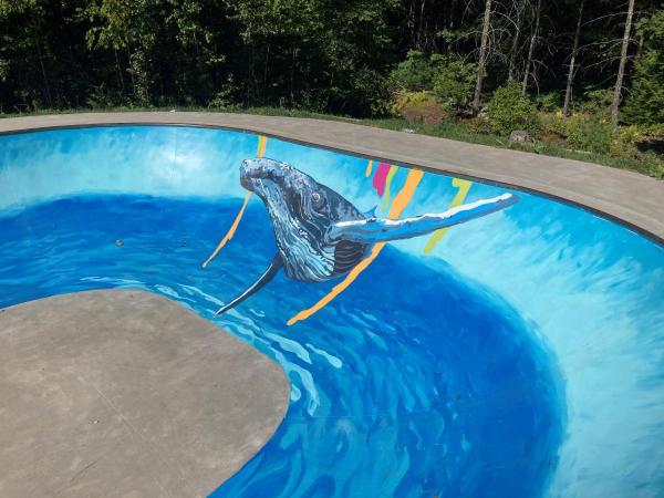whale