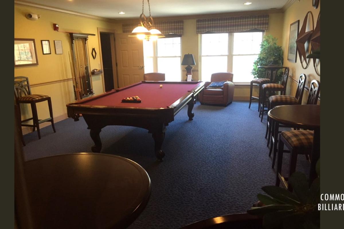 Common area, Billiards room