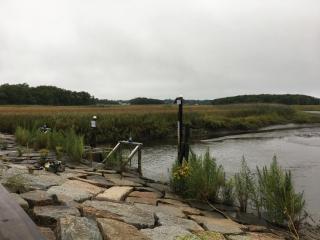 Tidegate