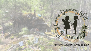 Fairy Gnome Discovery Walk - Art Stroll