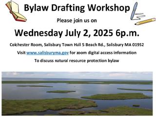 bylaw workshop flyer