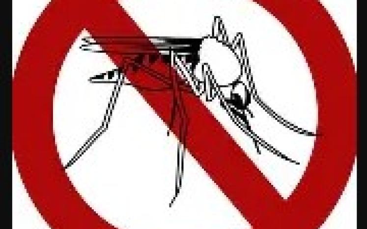 mosquito control