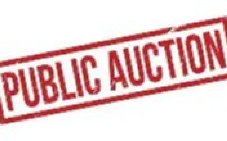 auction